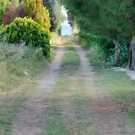Dorothy's House Holiday home Nea Plagia