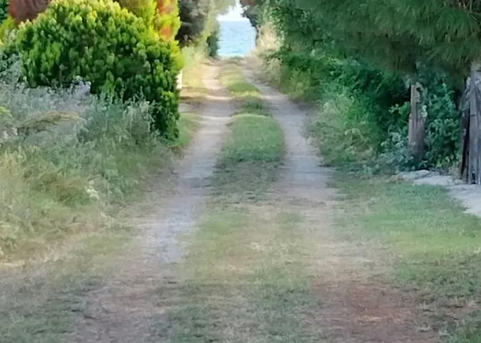 Dorothy's House 度假居 尼亚普拉加